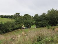 IMG 4864