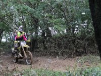 IMG 4959
