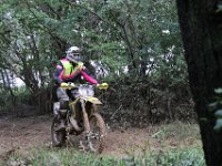 IMG 4960