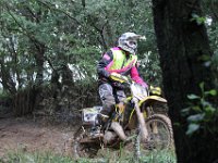 IMG 4961
