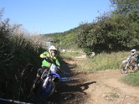 IMG 8447