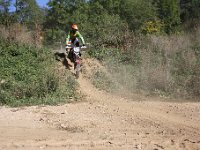 IMG 8479