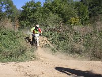 IMG 8489