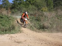 IMG 8495