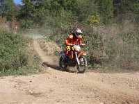 IMG 8496