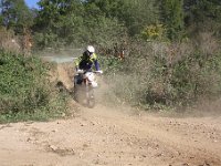 IMG 8497