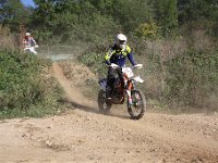 IMG 8498