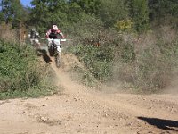 IMG 8499