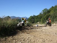 IMG 8529