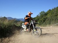 IMG 8531