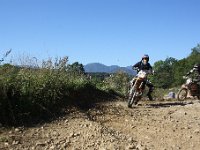 IMG 8537