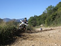 IMG 8547