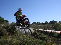 IMG 8561
