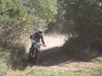 IMG 8711