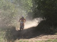 IMG 8713