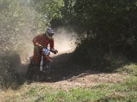 IMG 8714