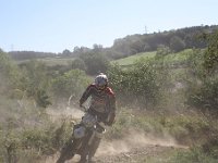 IMG 8721