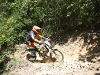 IMG 8741