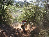 IMG 8776