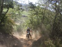 IMG 8781