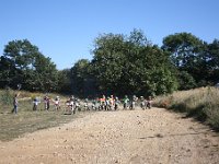 IMG 8795