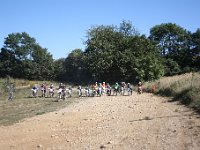 IMG 8796