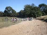 IMG 8797