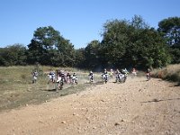 IMG 8798