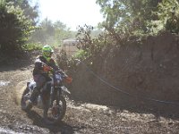 IMG 8831