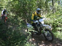 IMG 8847