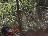 IMG 8856