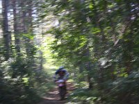 IMG 8874