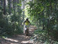 IMG 8881