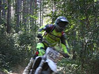 IMG 8882