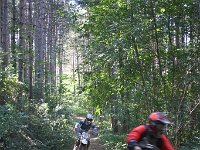 IMG 8884