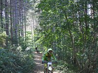 IMG 8895