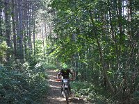 IMG 8896