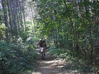 IMG 8898