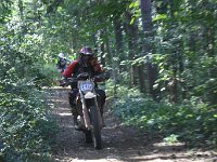 IMG 8941