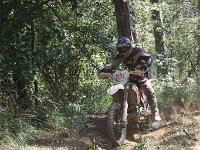 IMG 8985