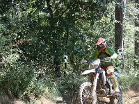 IMG 8991