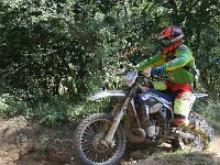 IMG 8992