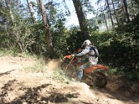IMG 9003