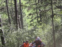 IMG 9006