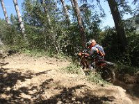 IMG 9011