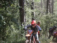 IMG 9013