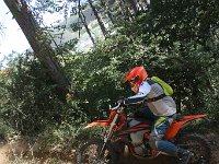 IMG 9017