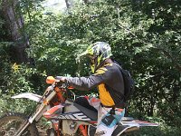 IMG 9041