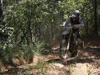 IMG 9054