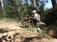 IMG 9071